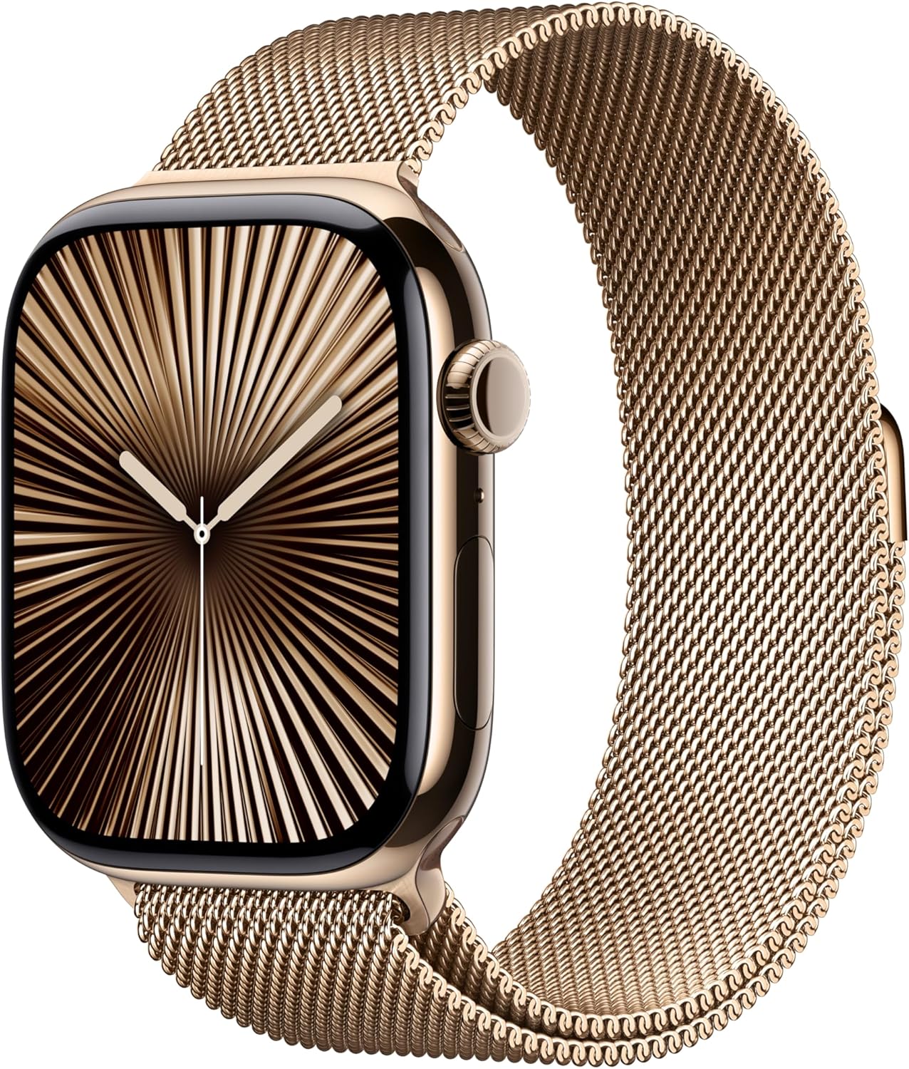 Apple Watch Series 9 Stainless Steel