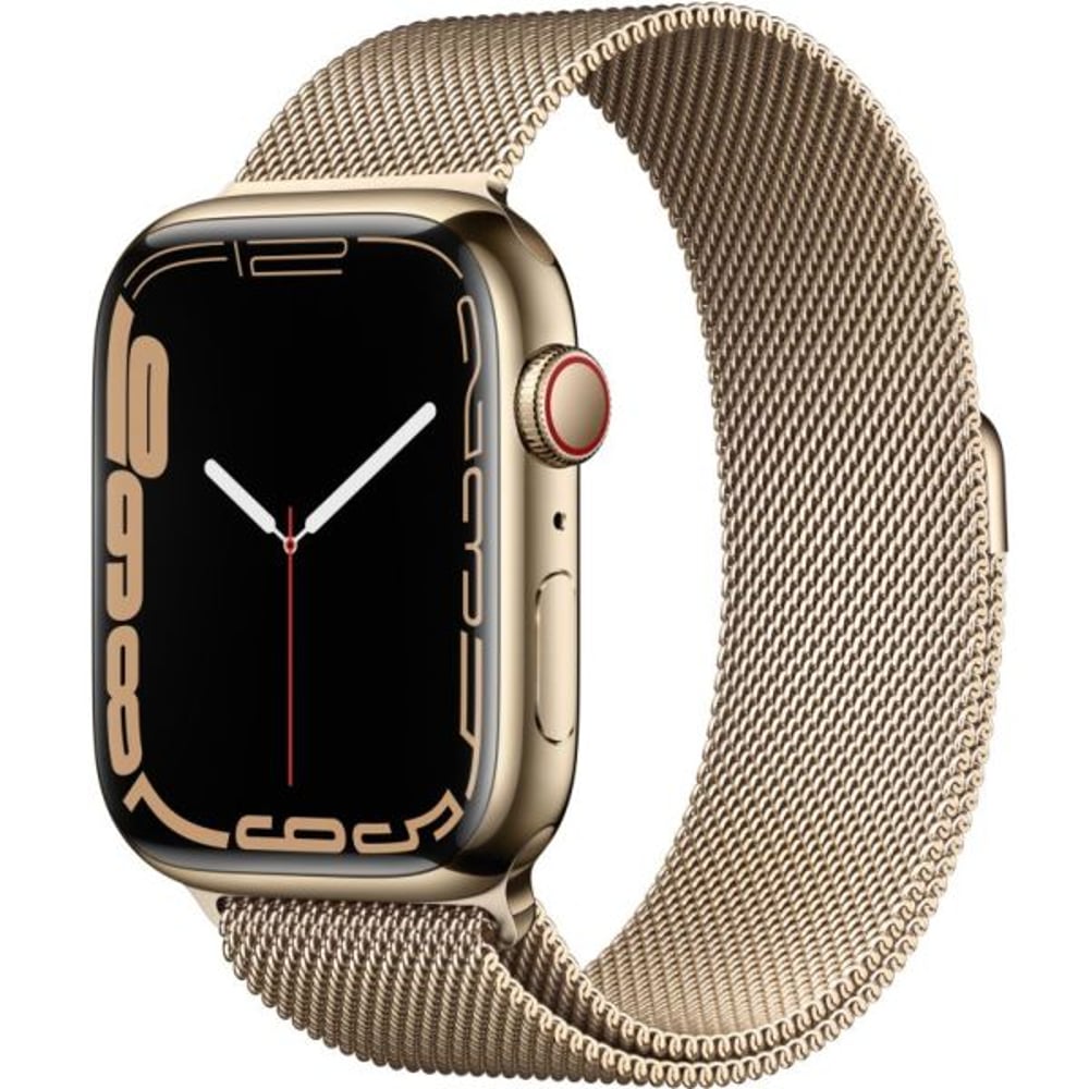 Apple Watch Series 7 Stainless Steel