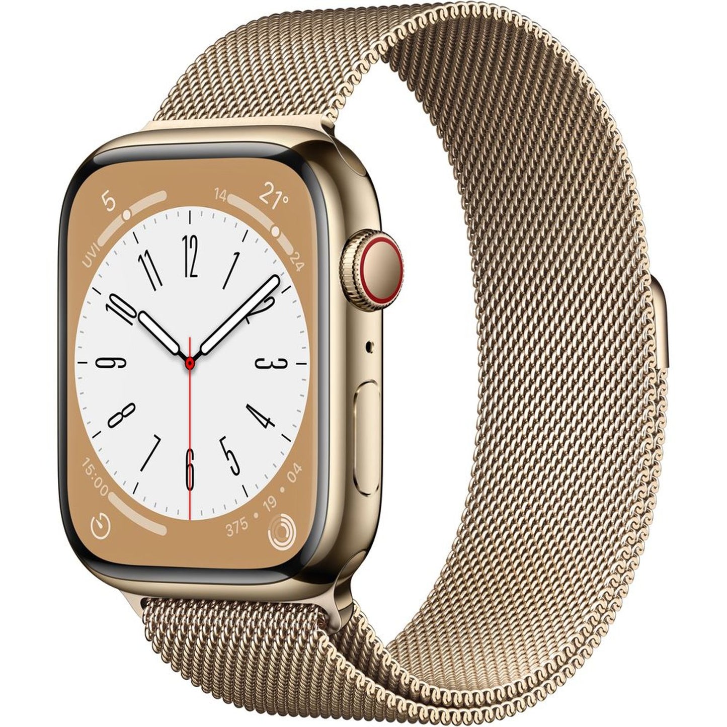 Apple Watch Series 8 Stainless Steel